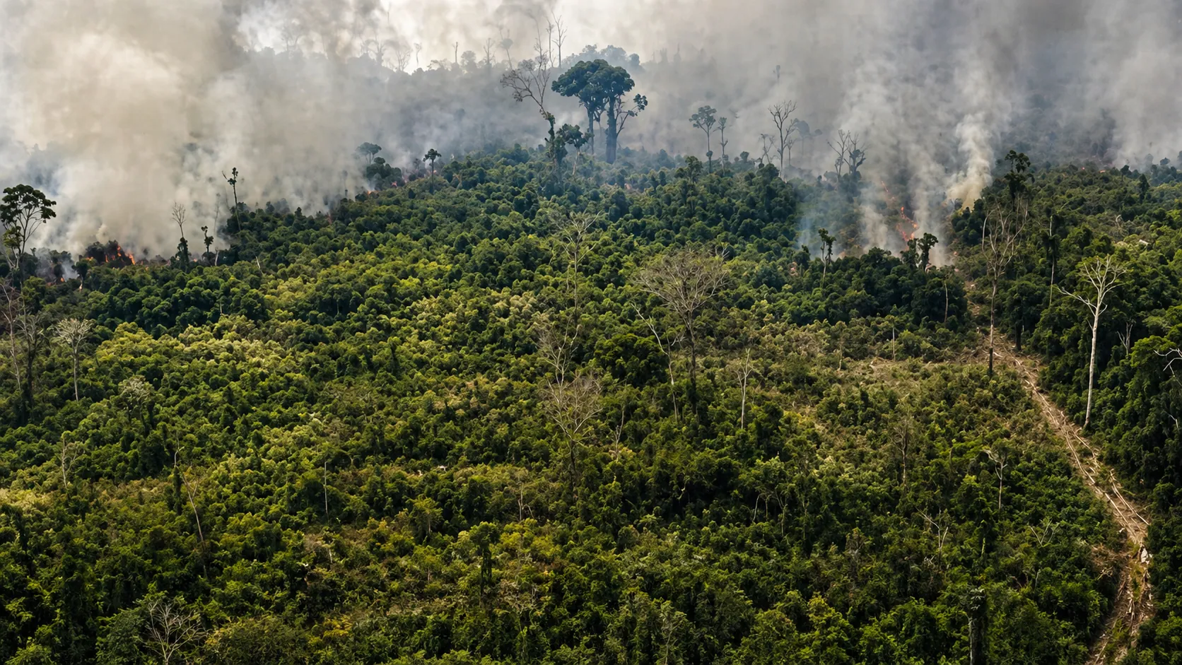 Initiative Africa FireShield (4)